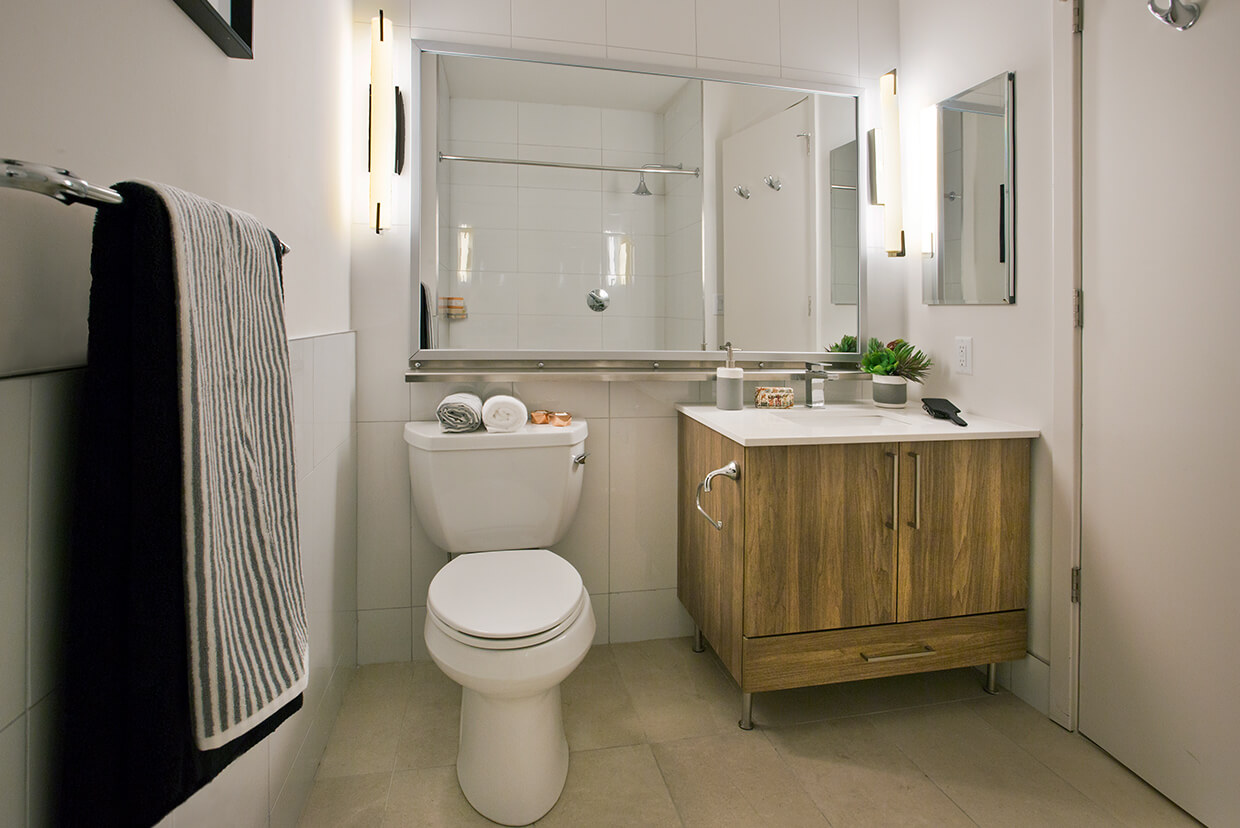 Designer Bathroom with Extra Large Mirror & Medicine Cabinet